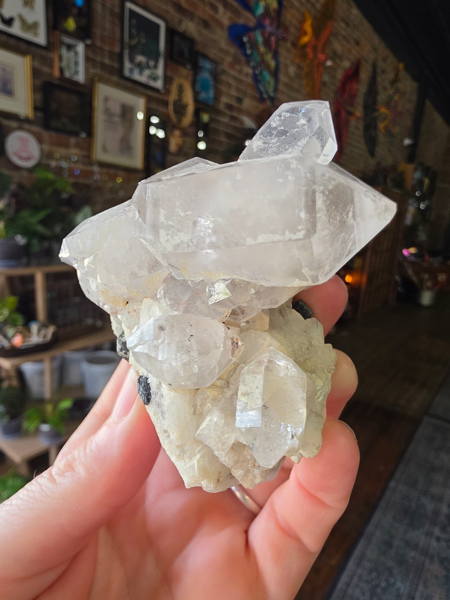 Black Tourmaline and Quartz On Albite