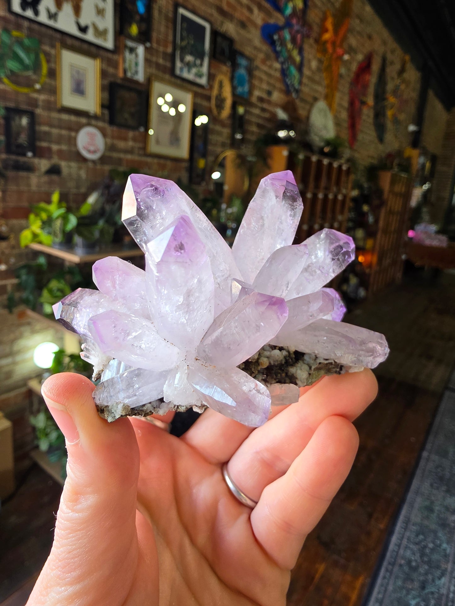 Vera Cruz Amethyst