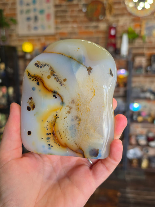 Dendritic Agate Freeform