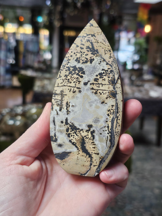 Dendritic Jasper Freeform