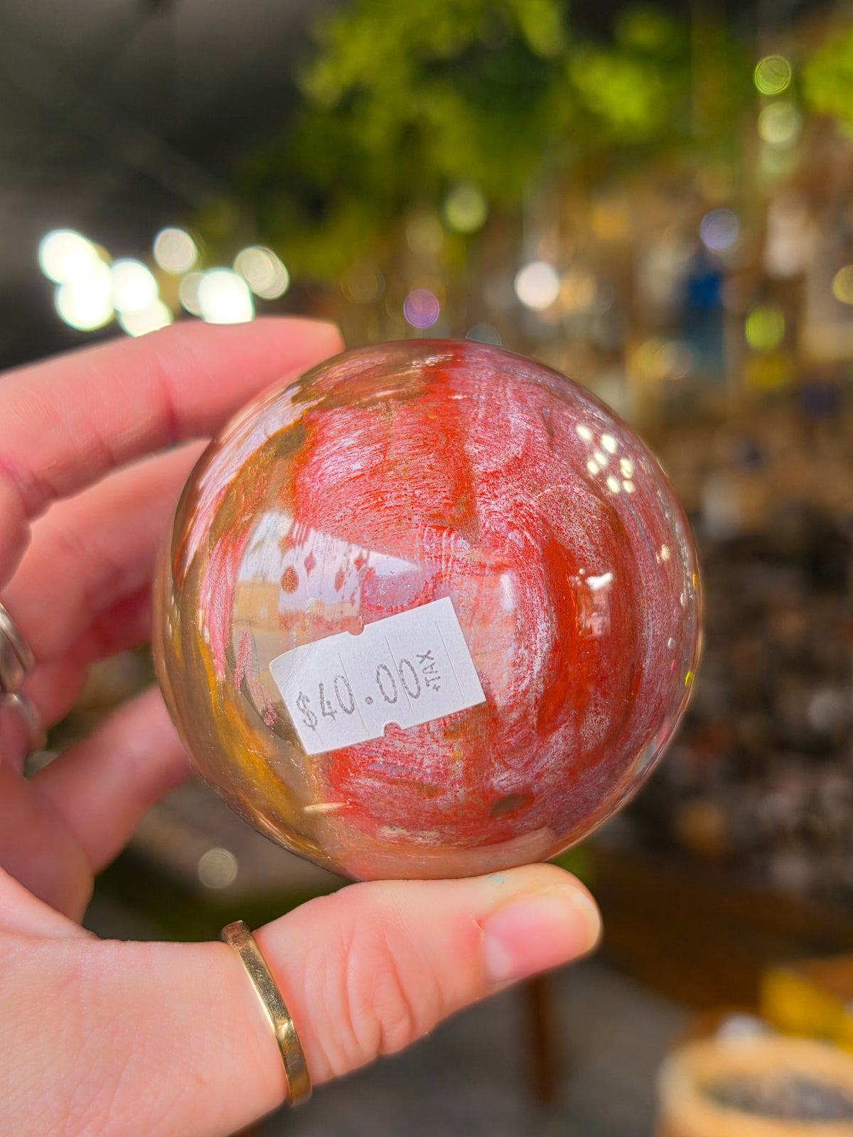 Petrified Wood Sphere