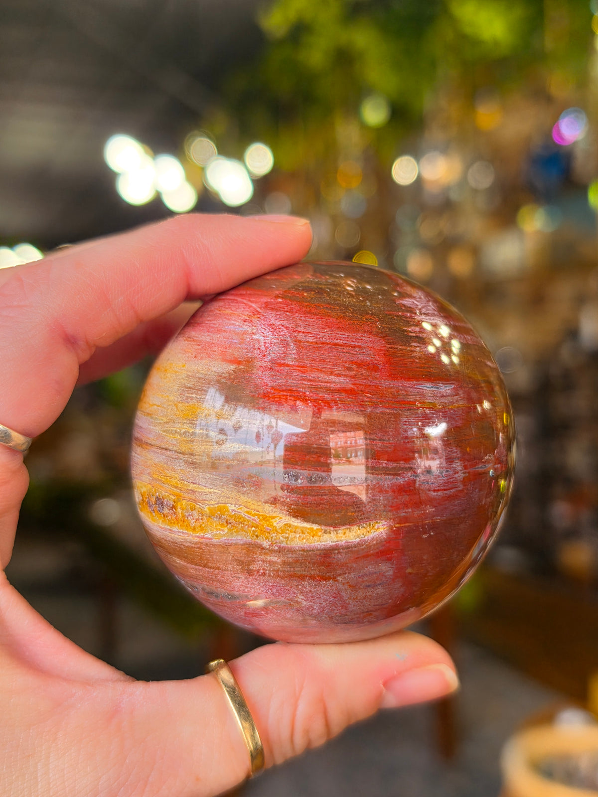 Petrified Wood Sphere