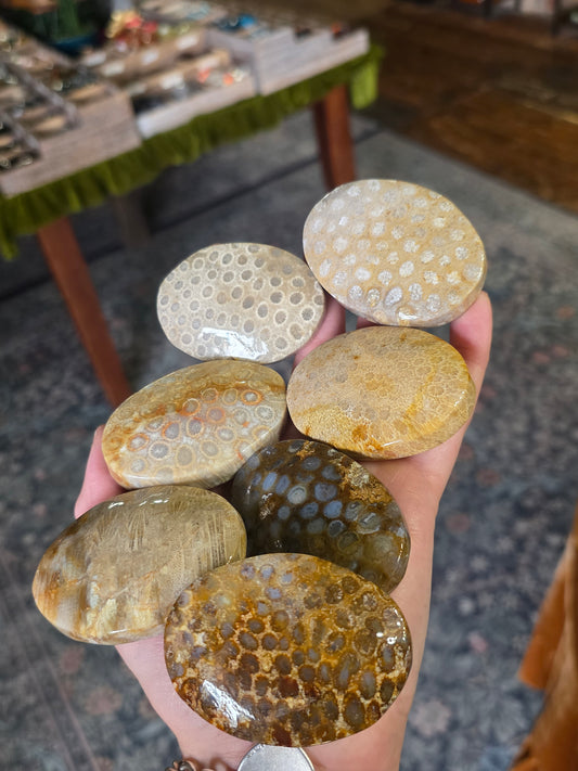 Coral Jade Palm Stone