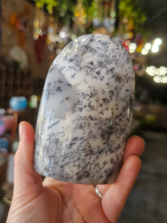 Dendritic Common Opal Freeform