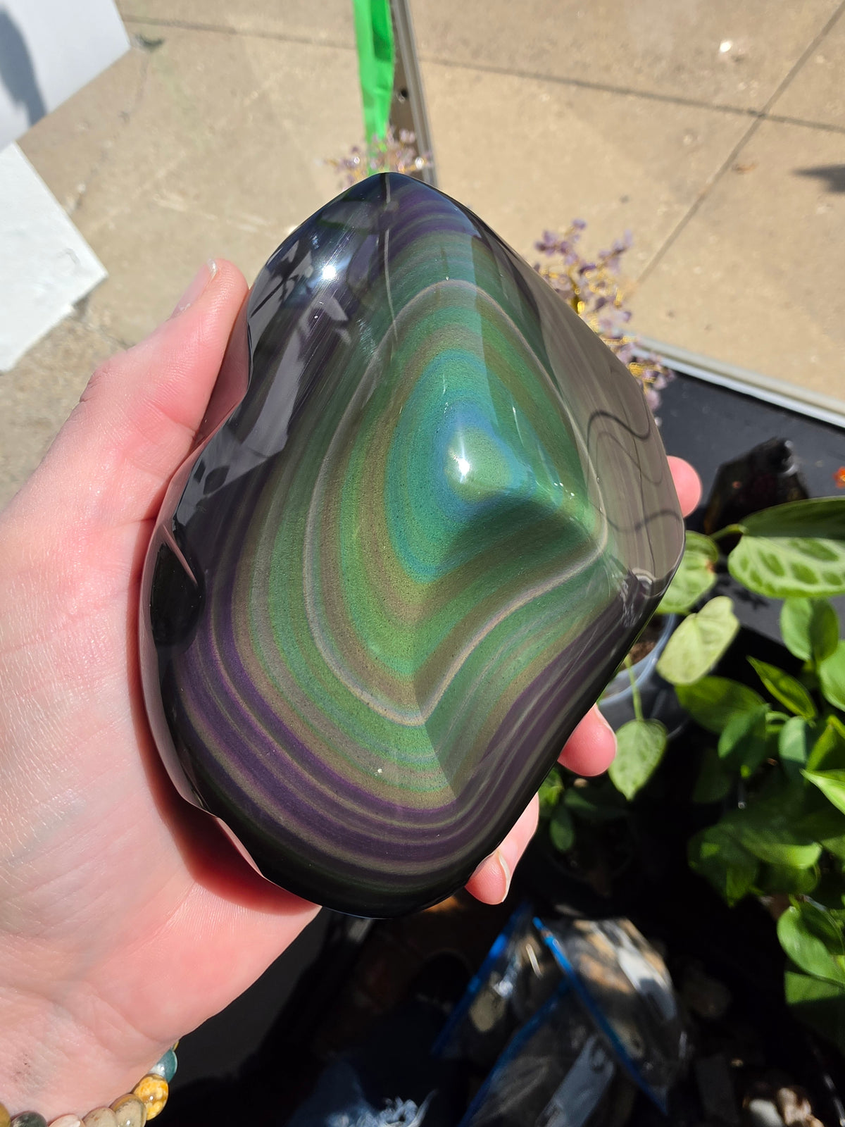 Rainbow Obsidian Freeform