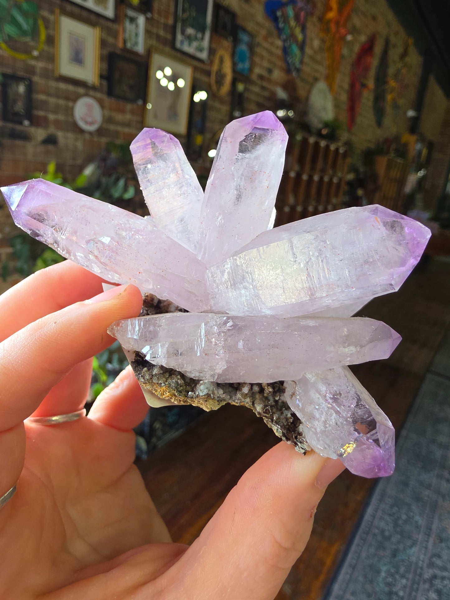Vera Cruz Amethyst