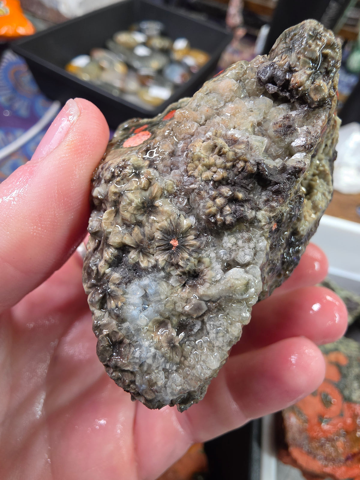Orbicular Jasper Rough