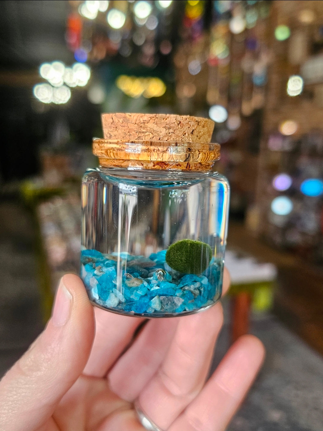 Small Marimo Moss Ball