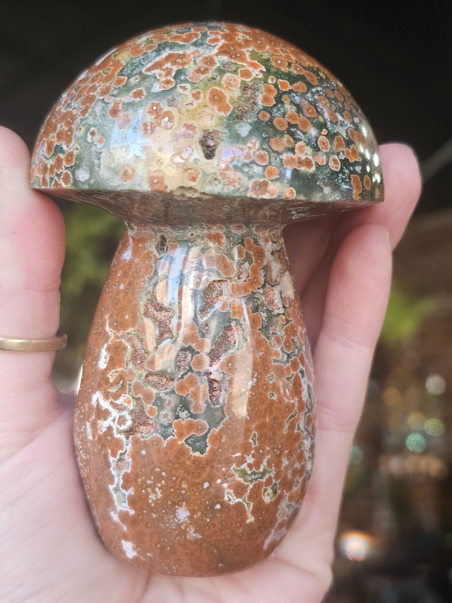Orbicular Jasper Mushroom