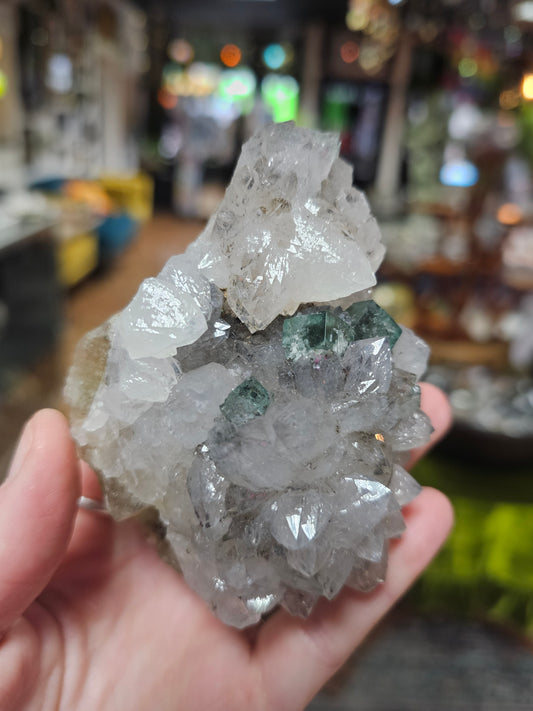 Diana Maria Fluorite