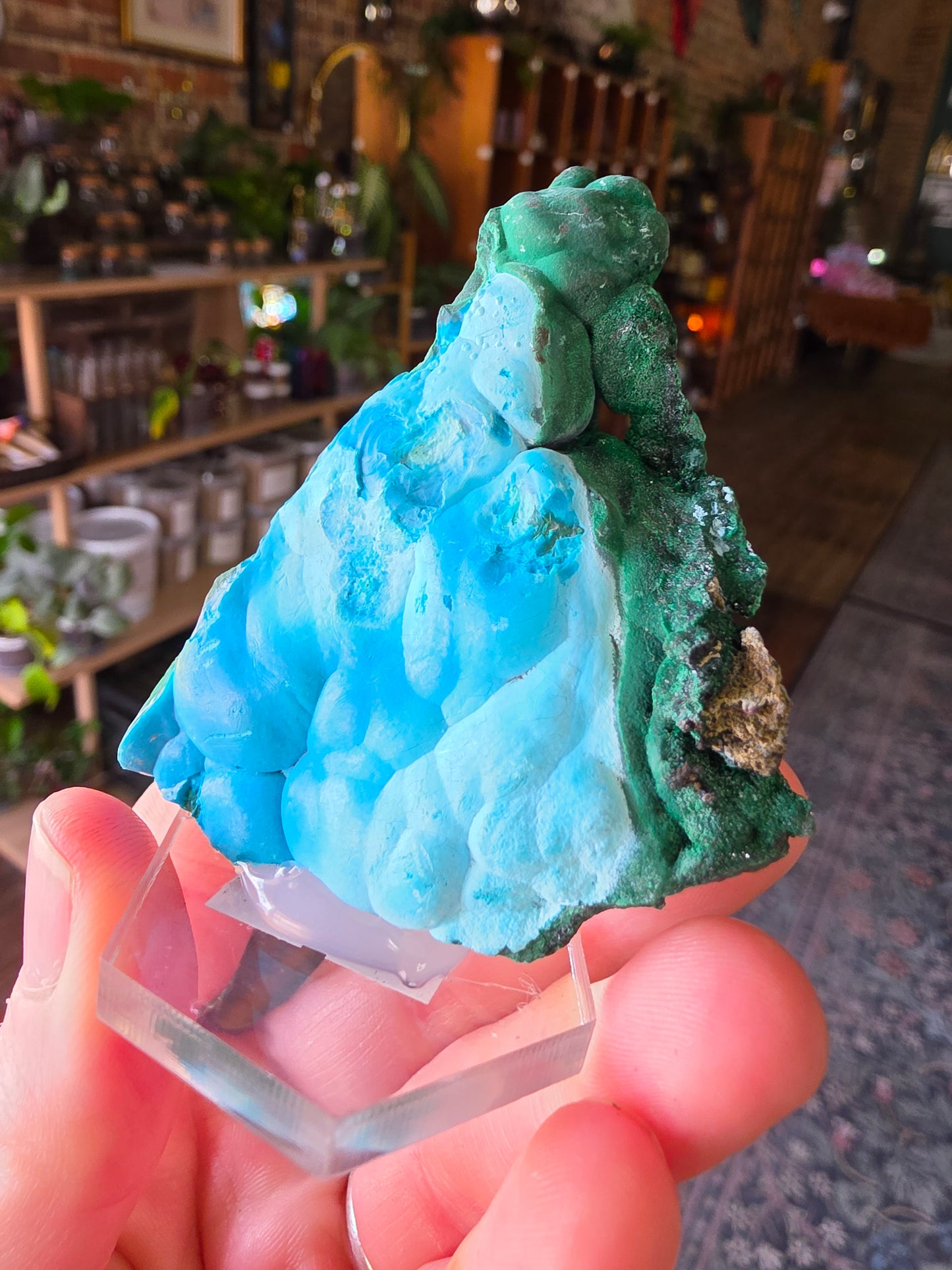 Chrysocolla and Malachite