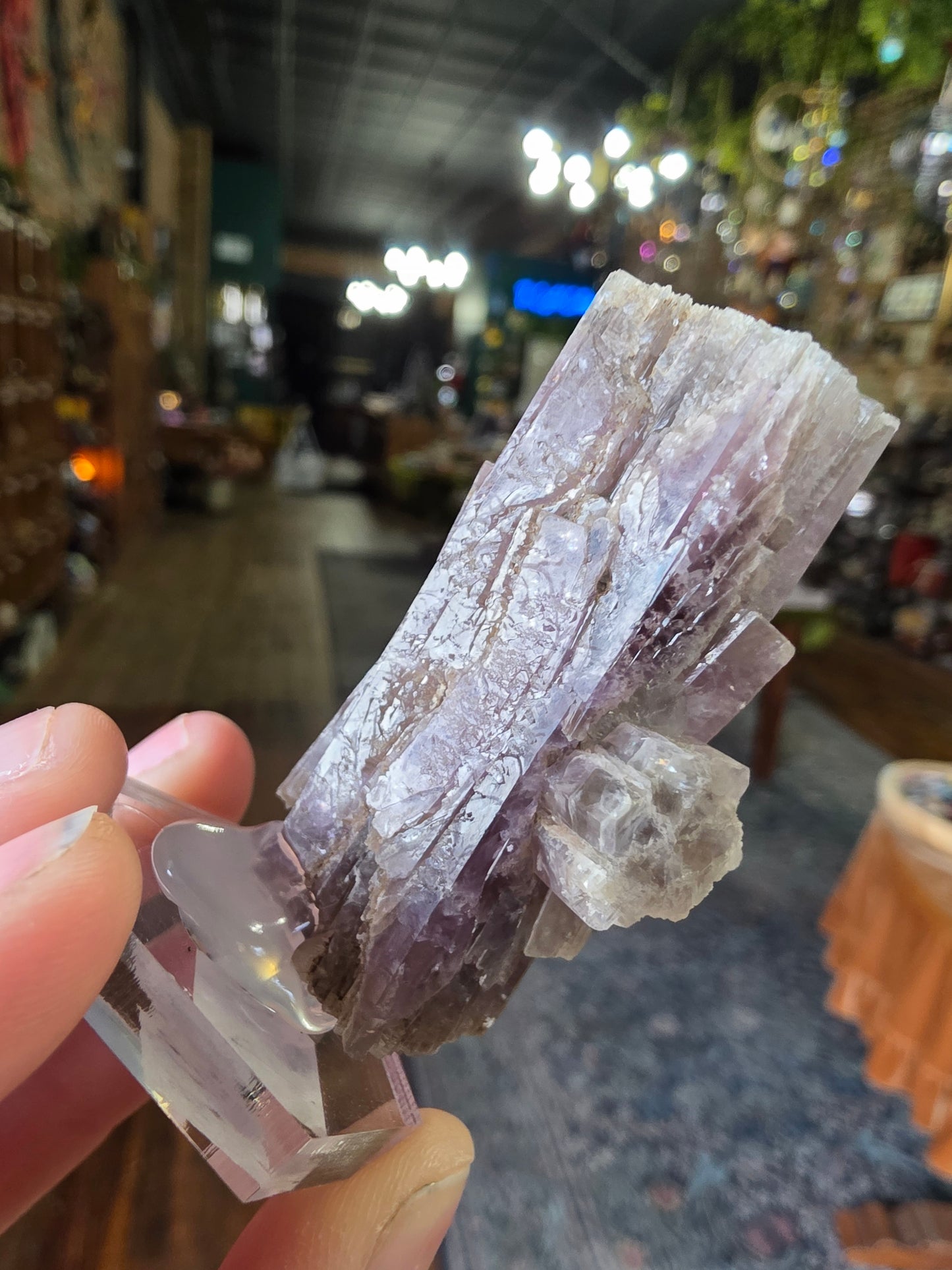 Purple Aragonite