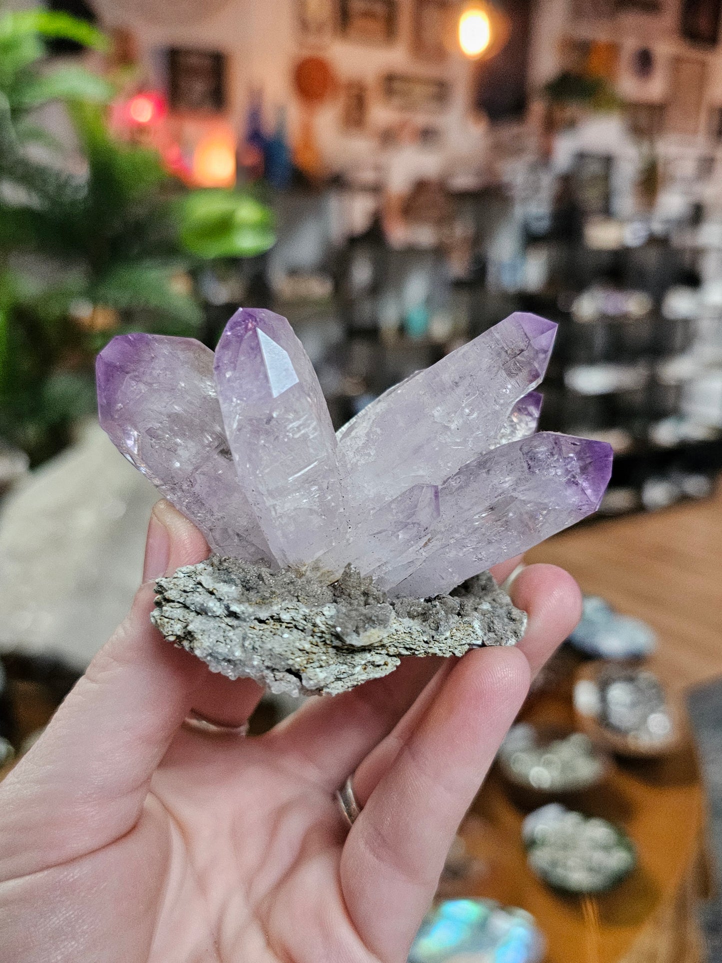 Vera Cruz Amethyst on Dolomite