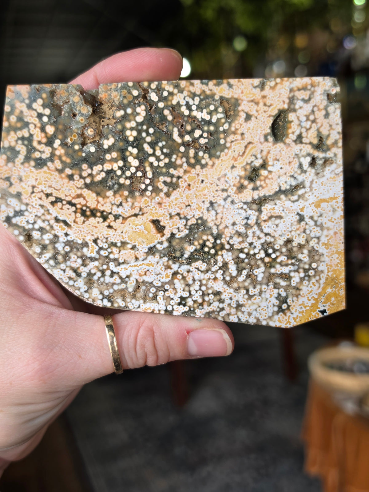 Ocean Jasper Polished Slab