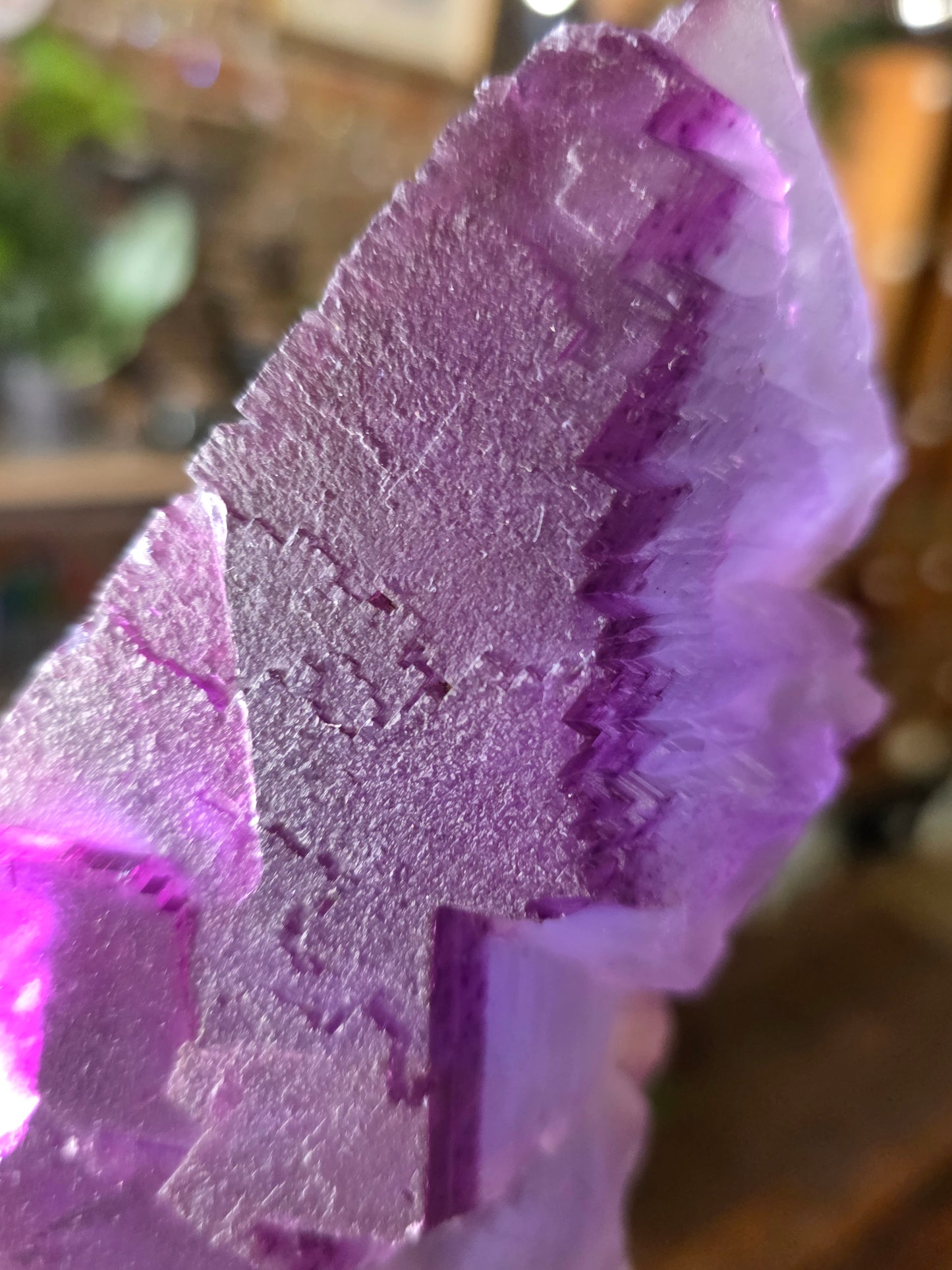 Illinois Fluorite