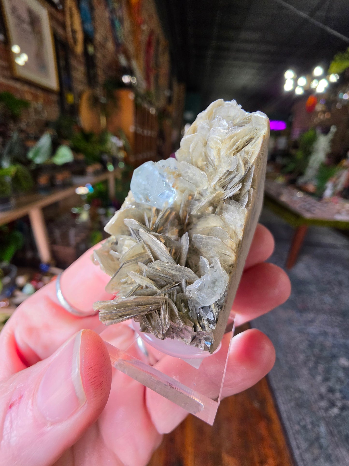 Aquamarine on Muscovite