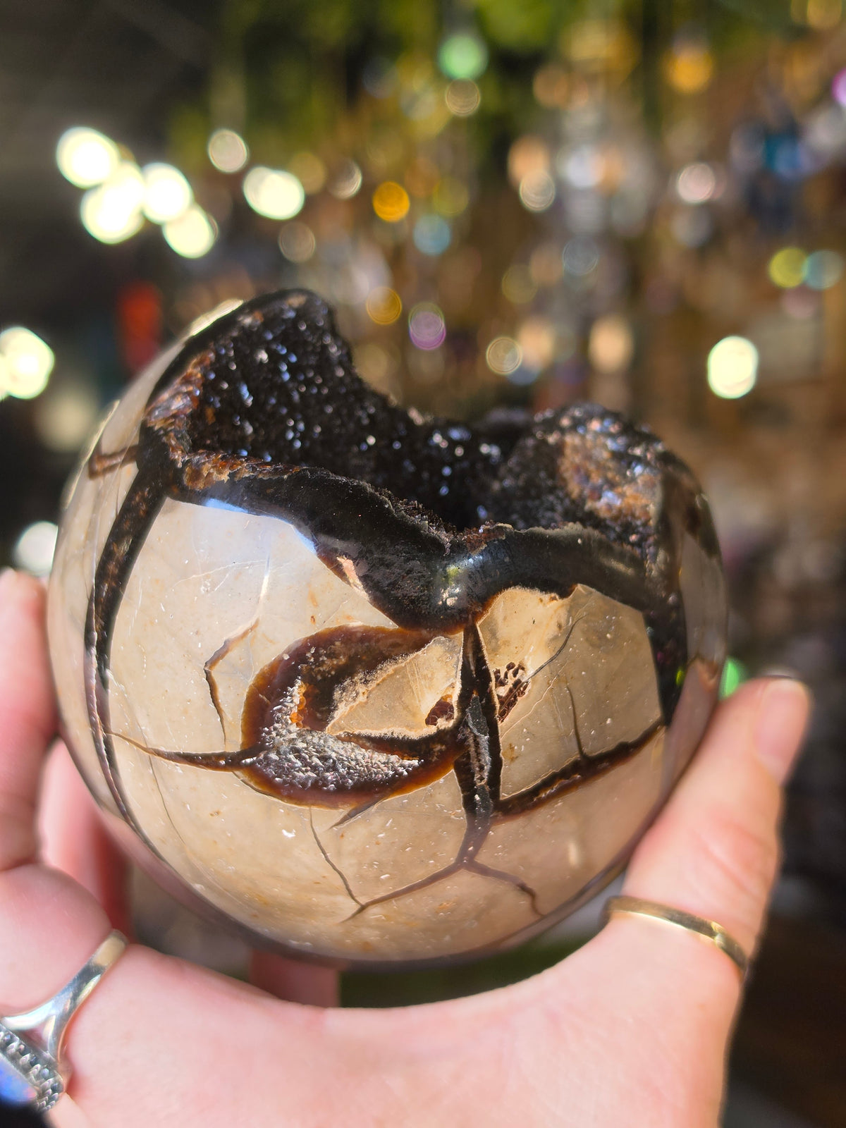 Septarian Nodule Egg