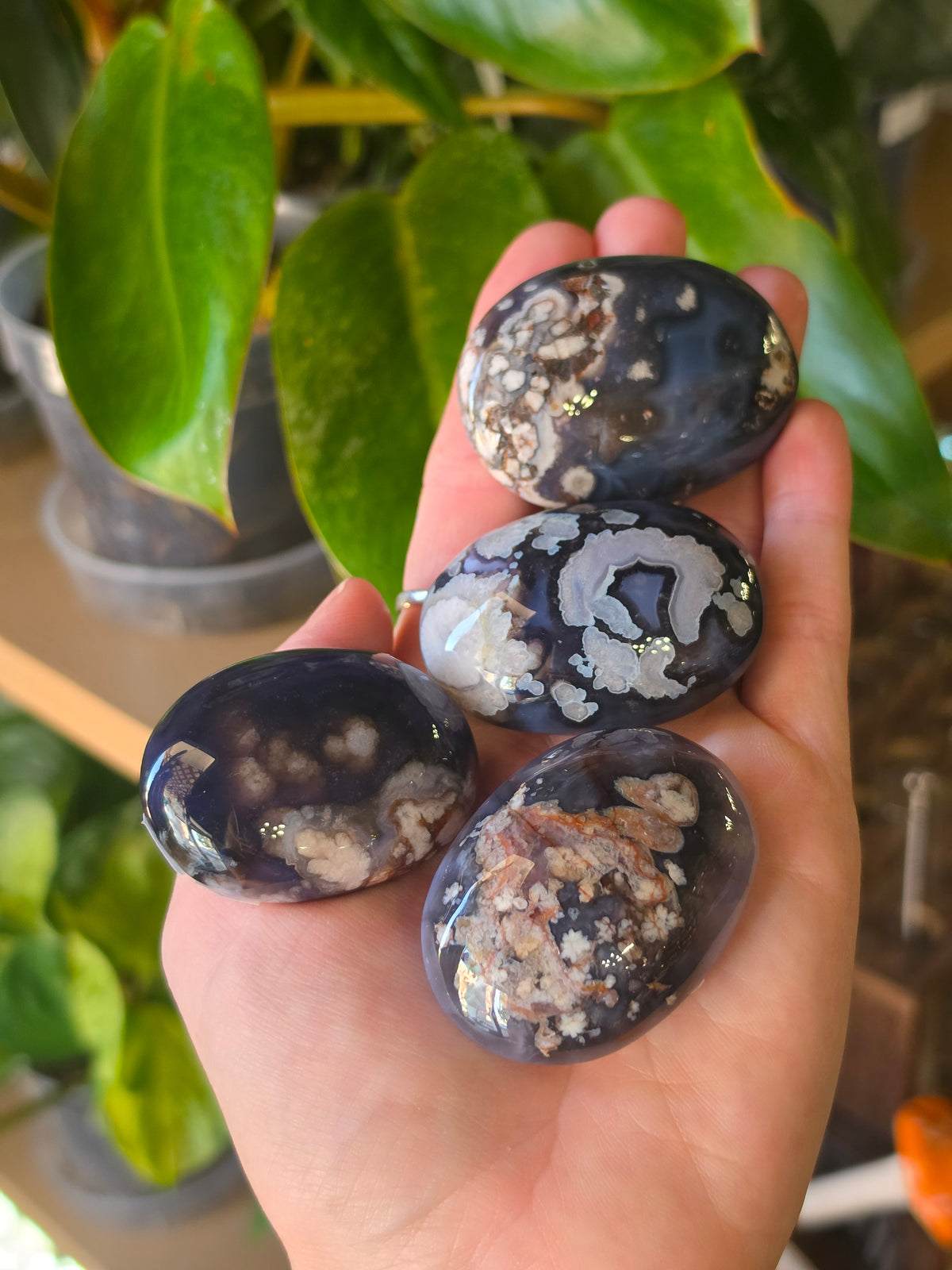Blue Flower Agate Palmstone
