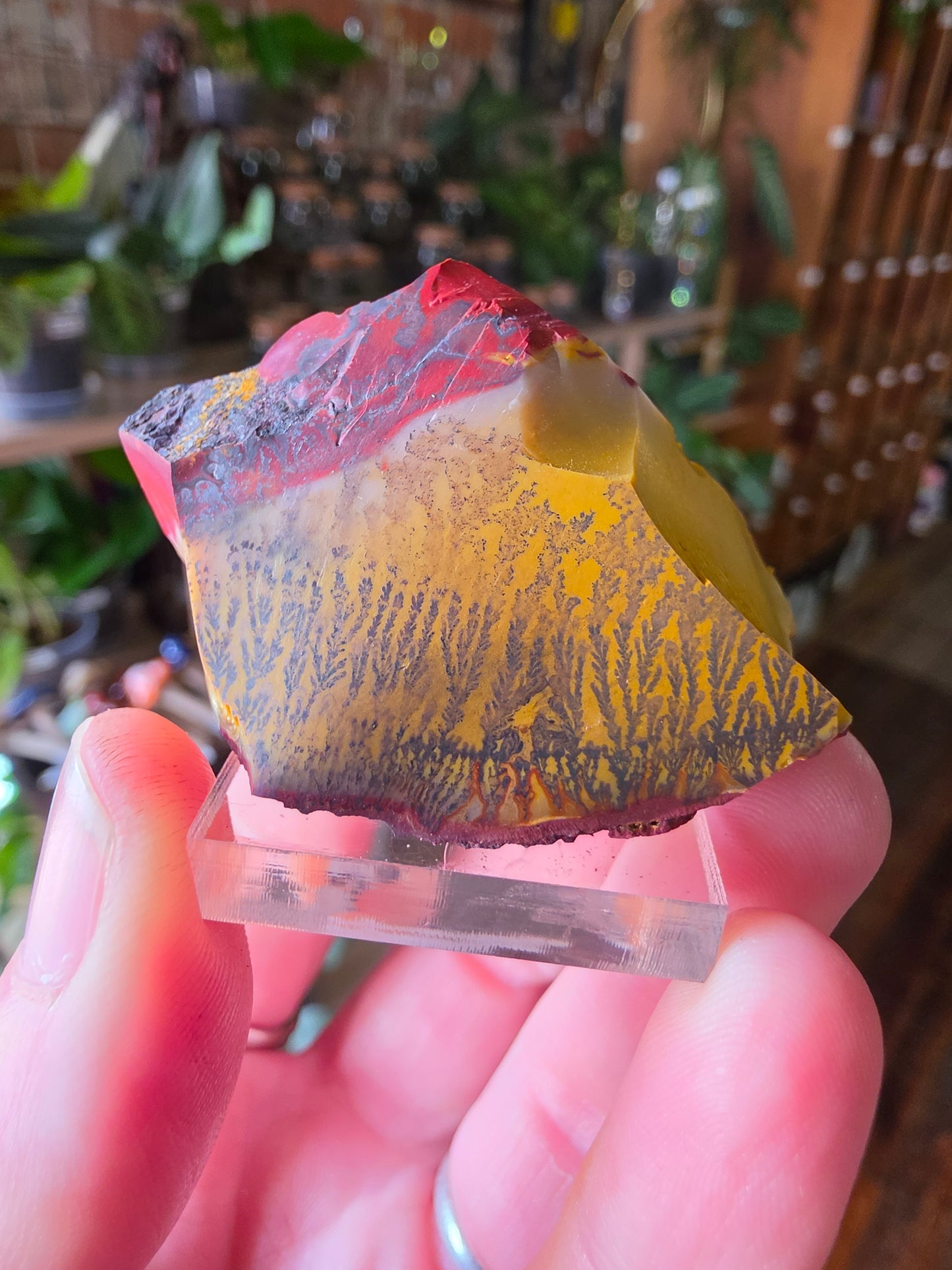 Mookaite with Dentrites