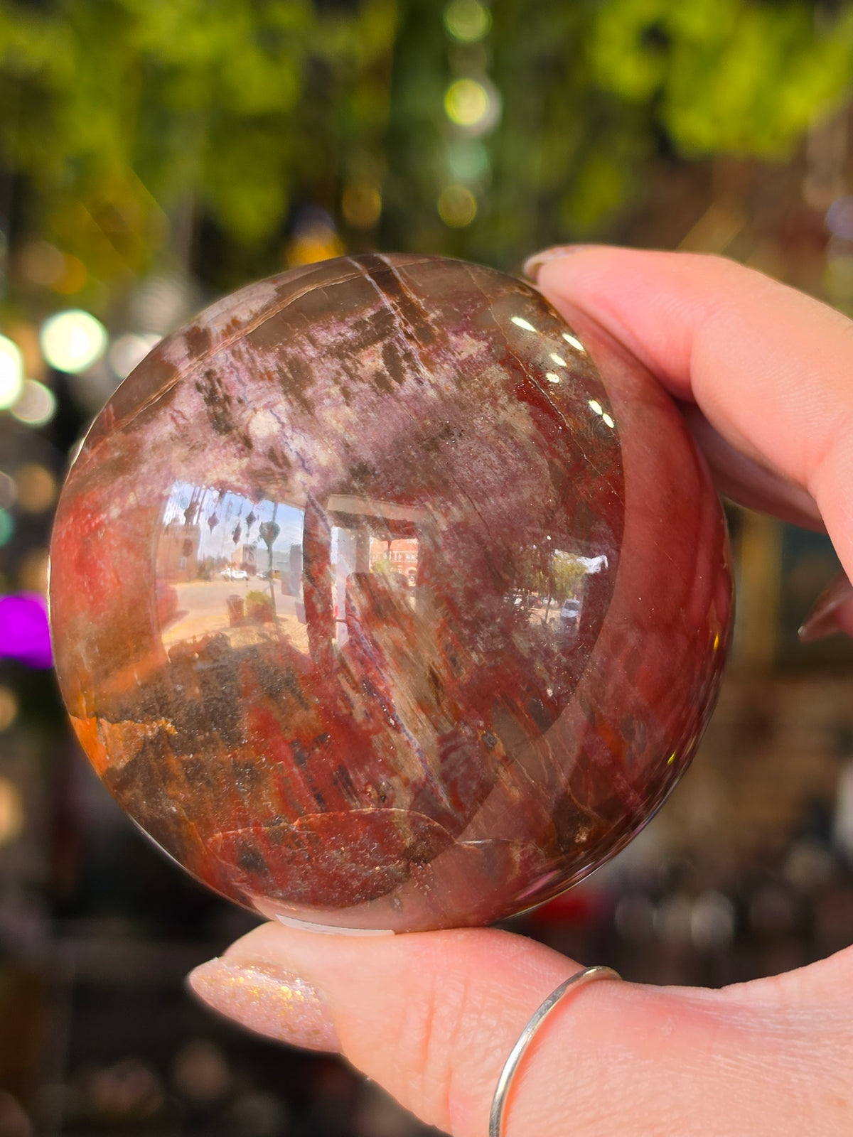 Petrified Wood Sphere