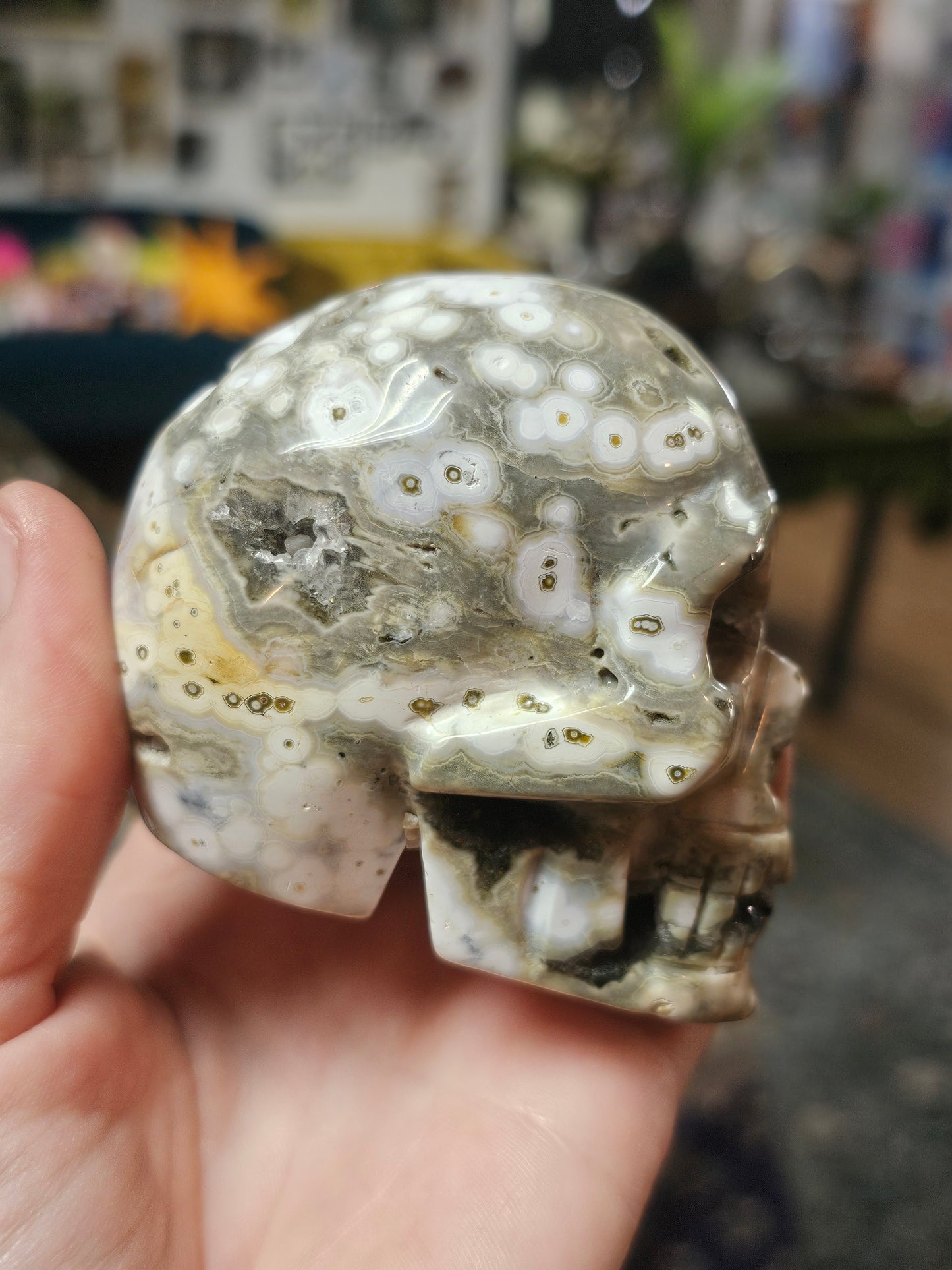 Orbicular Jasper Skull