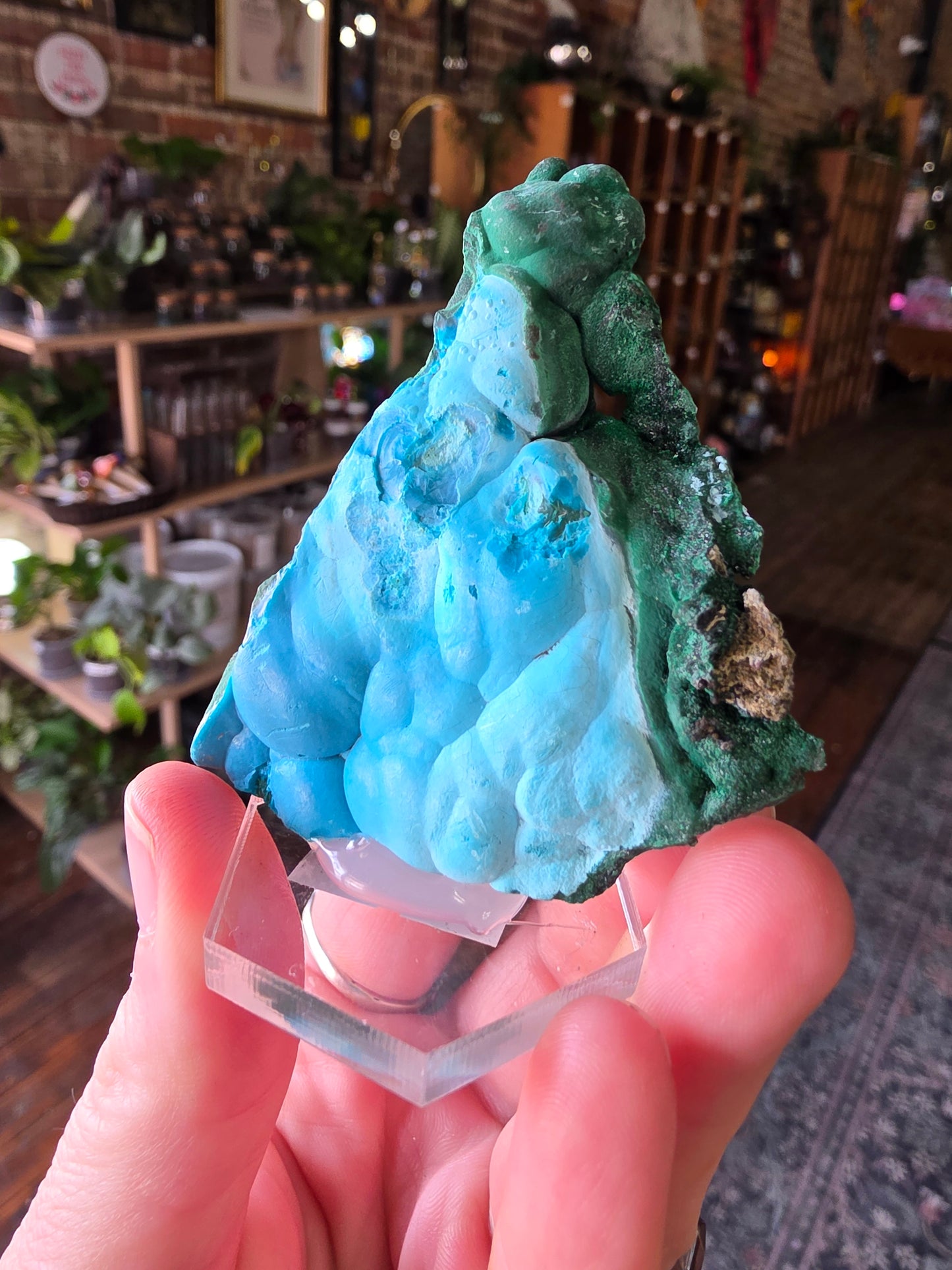 Chrysocolla and Malachite