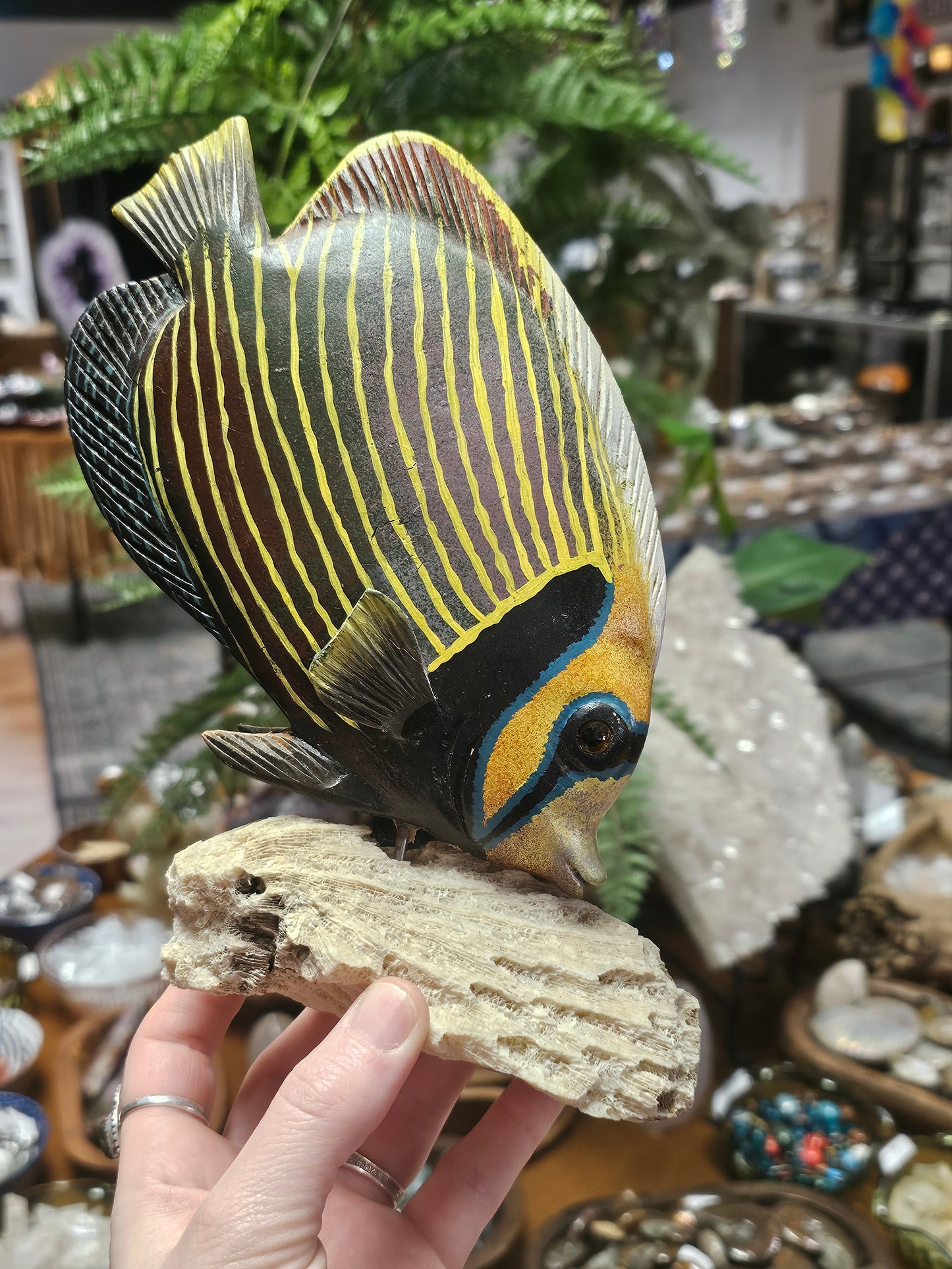 Wooden Emperor Anglefish Carving, Genuine Coral Base