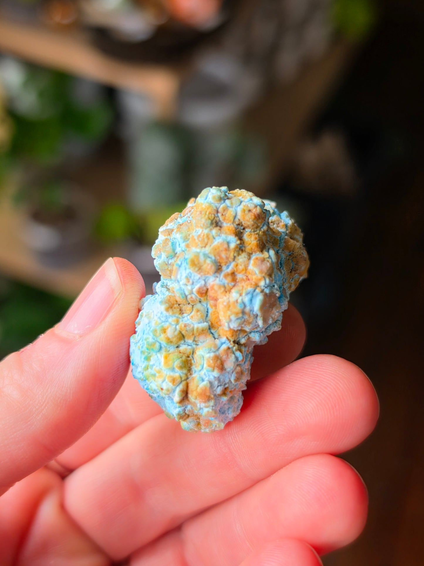 Blue Aragonite