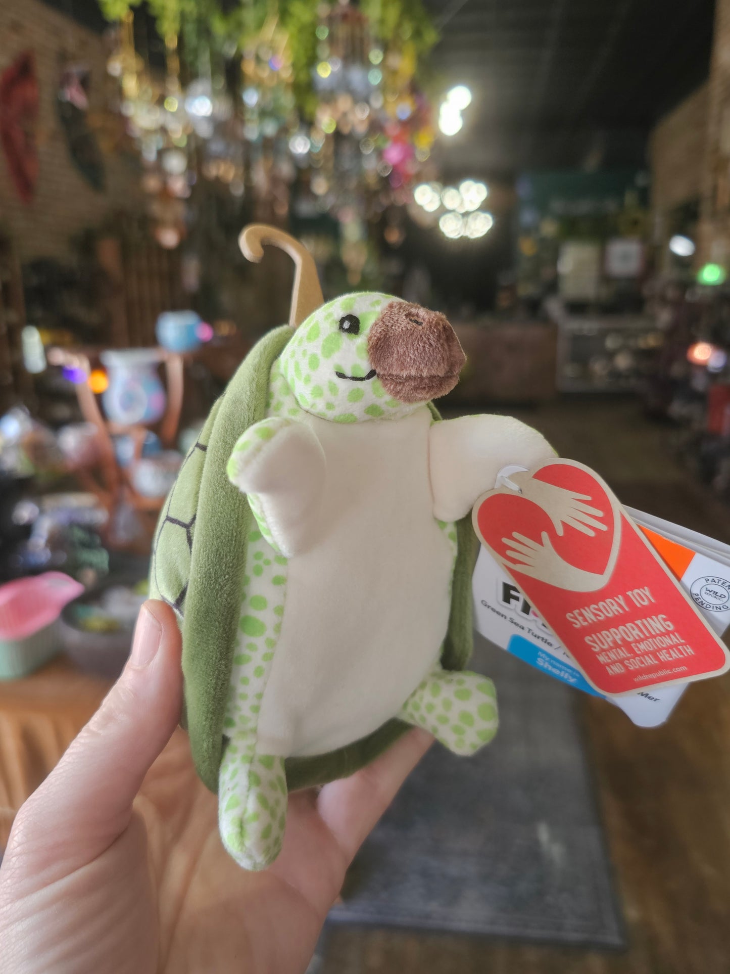 Wild Republic Flipkins Turtle