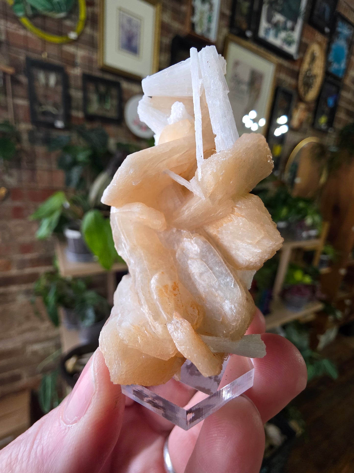 Scolecite on Peach Stilbite