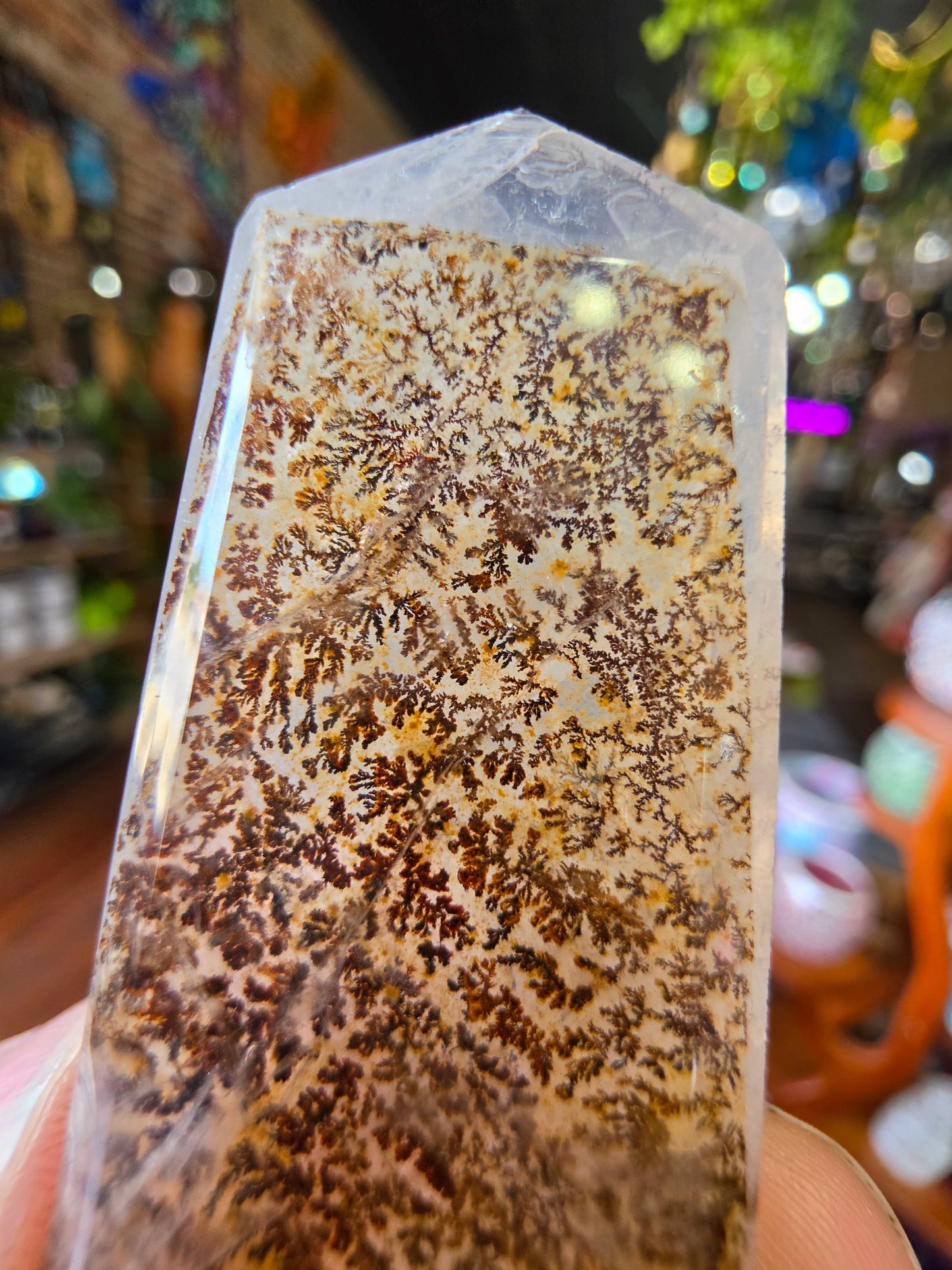 Dendritic Quartz Point