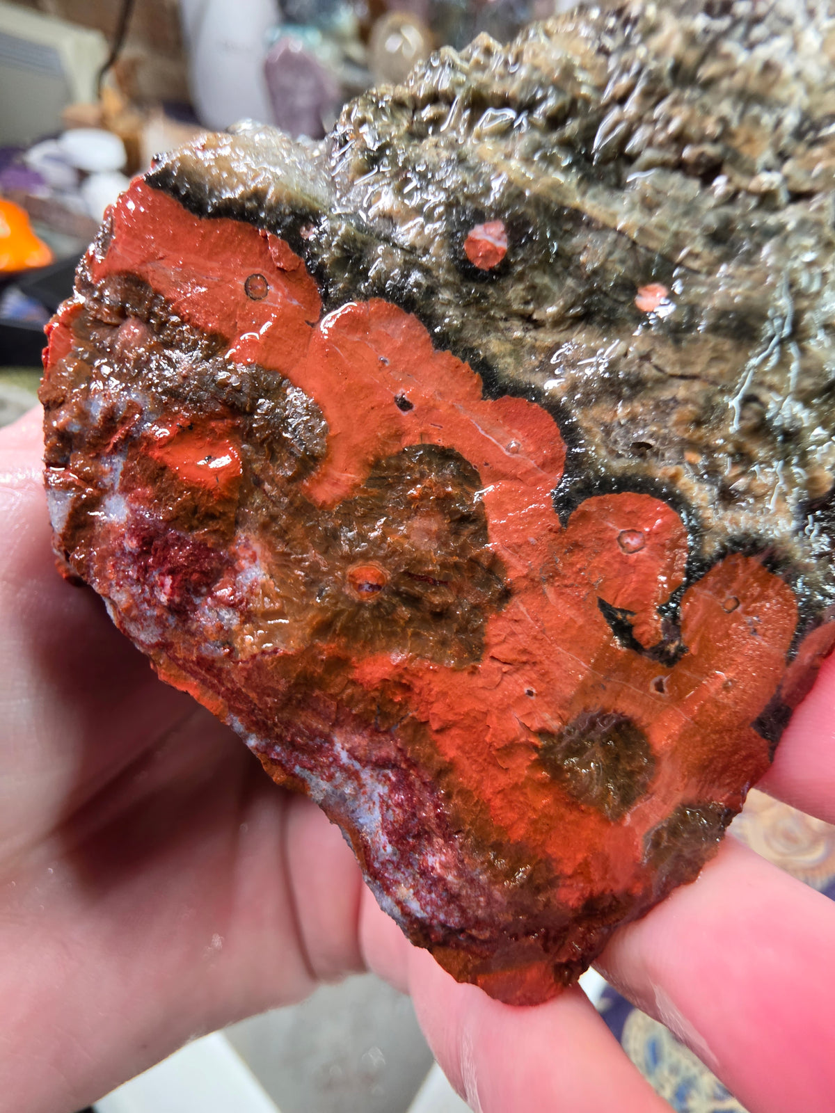 Orbicular Jasper Rough
