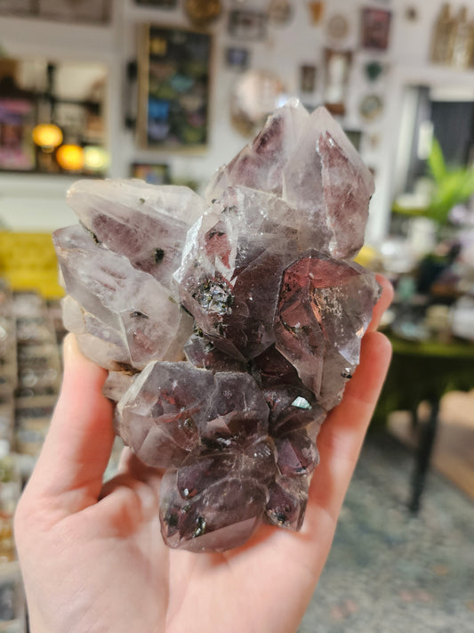 Epidote on Hematite Included Quartz