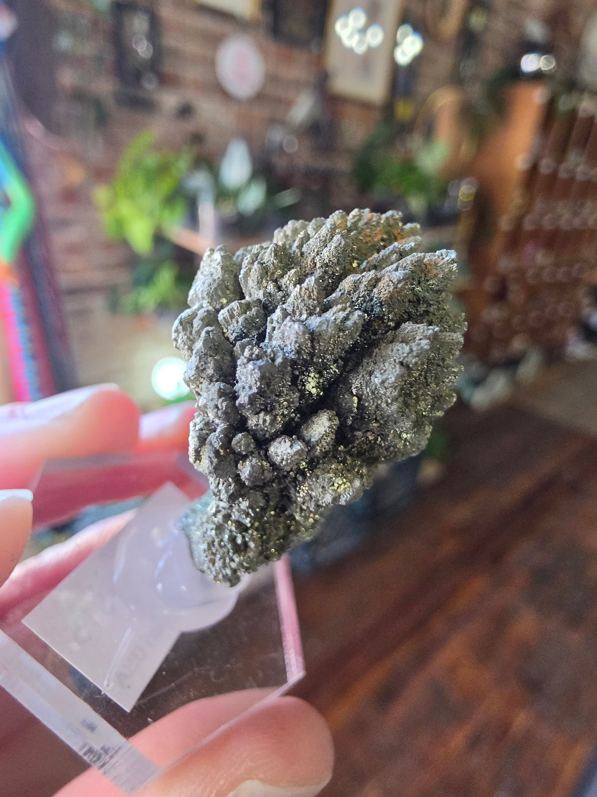 Marcasite Specimen