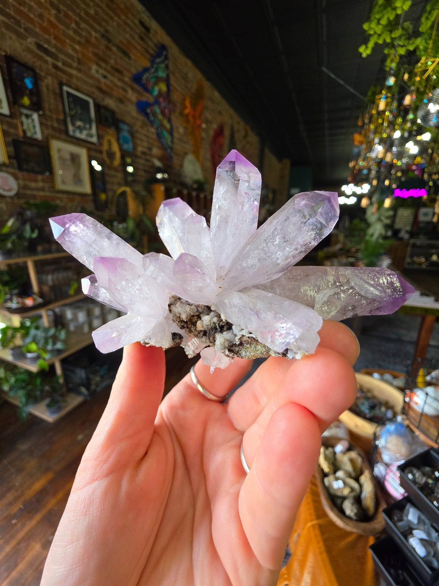 Vera Cruz Amethyst