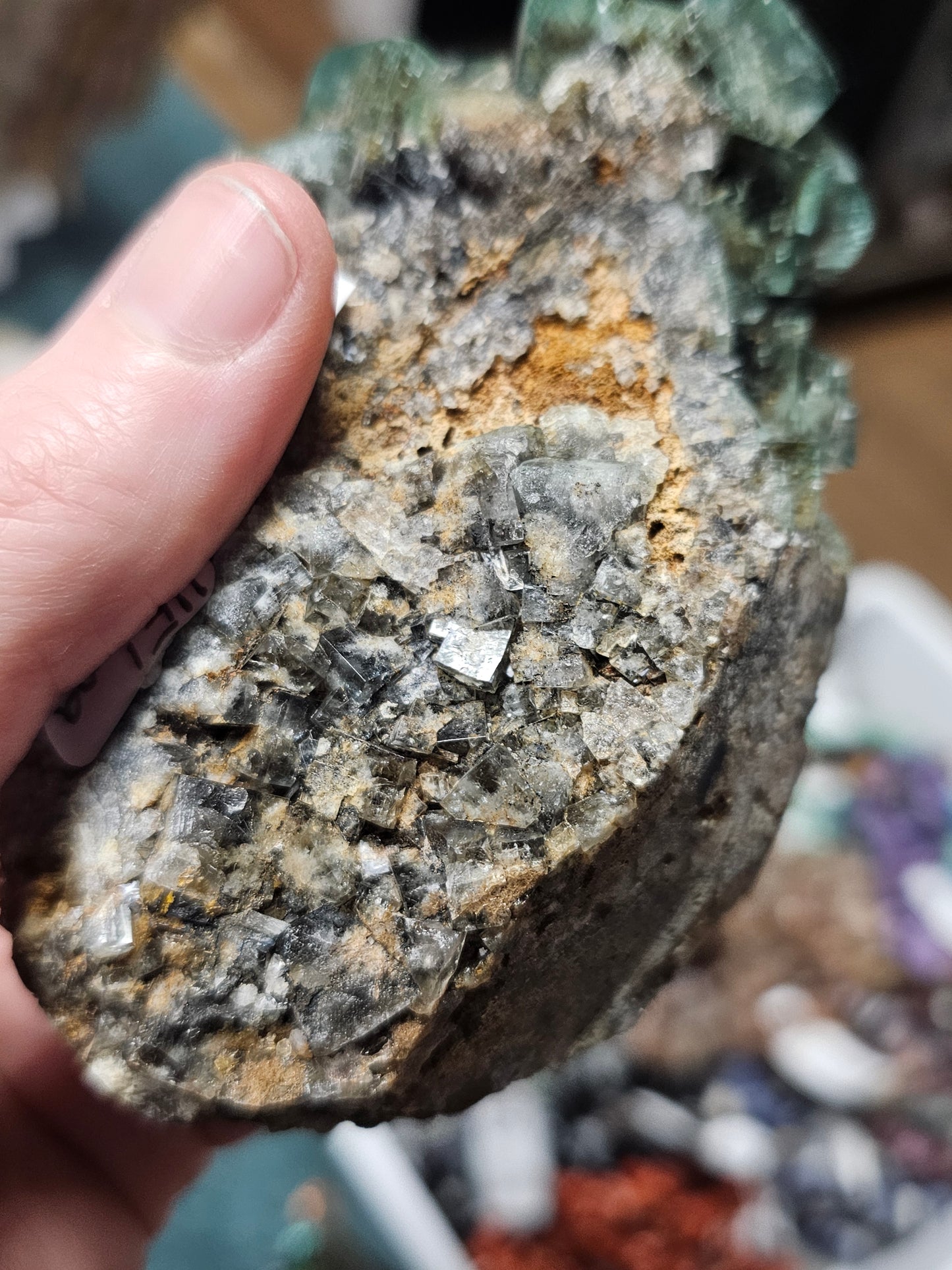 Diana Maria Fluorite ( Hidden Forest Pocket)