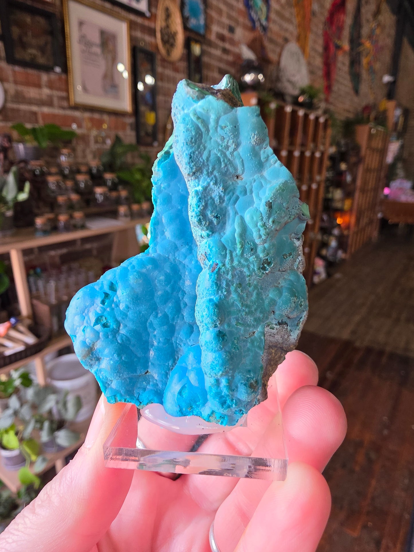 Chrysocolla and Malachite