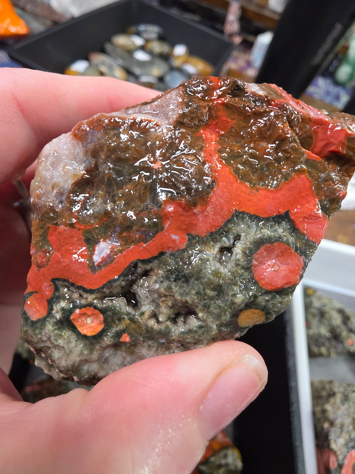 Orbicular Jasper Rough