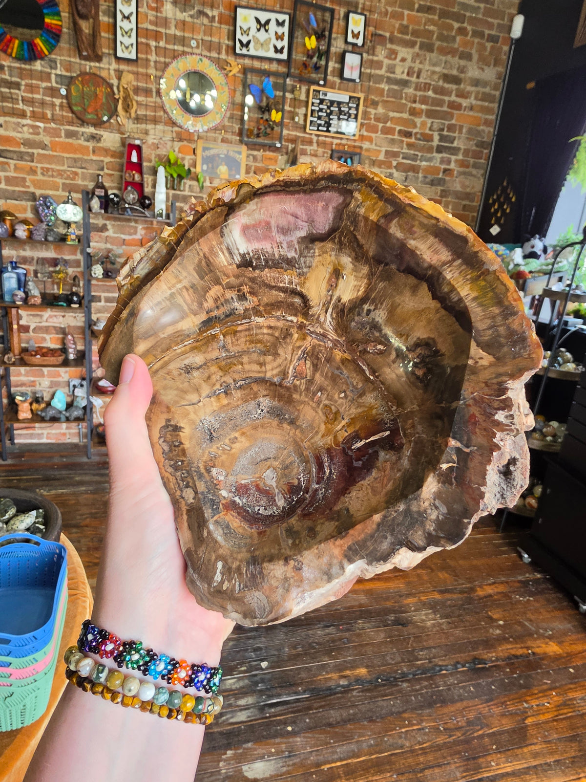 Petrified Wood Bowl