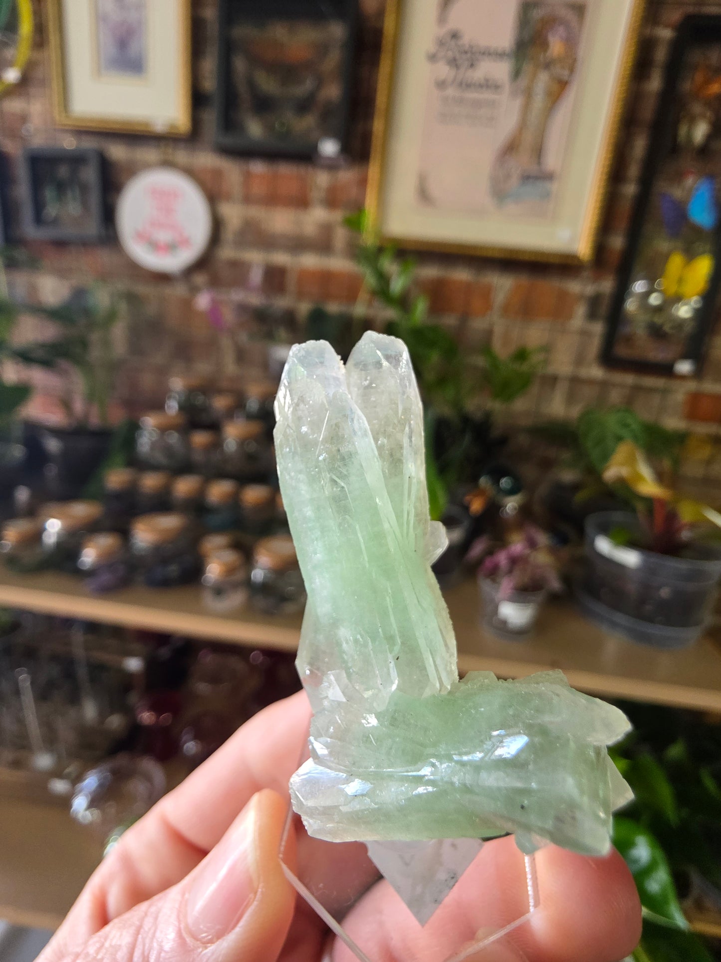 Green Apophyllite