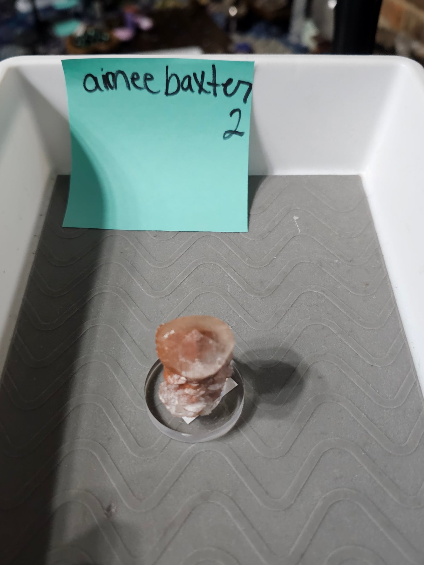 Aimee Baxter Weasel 12.19 & 1.2