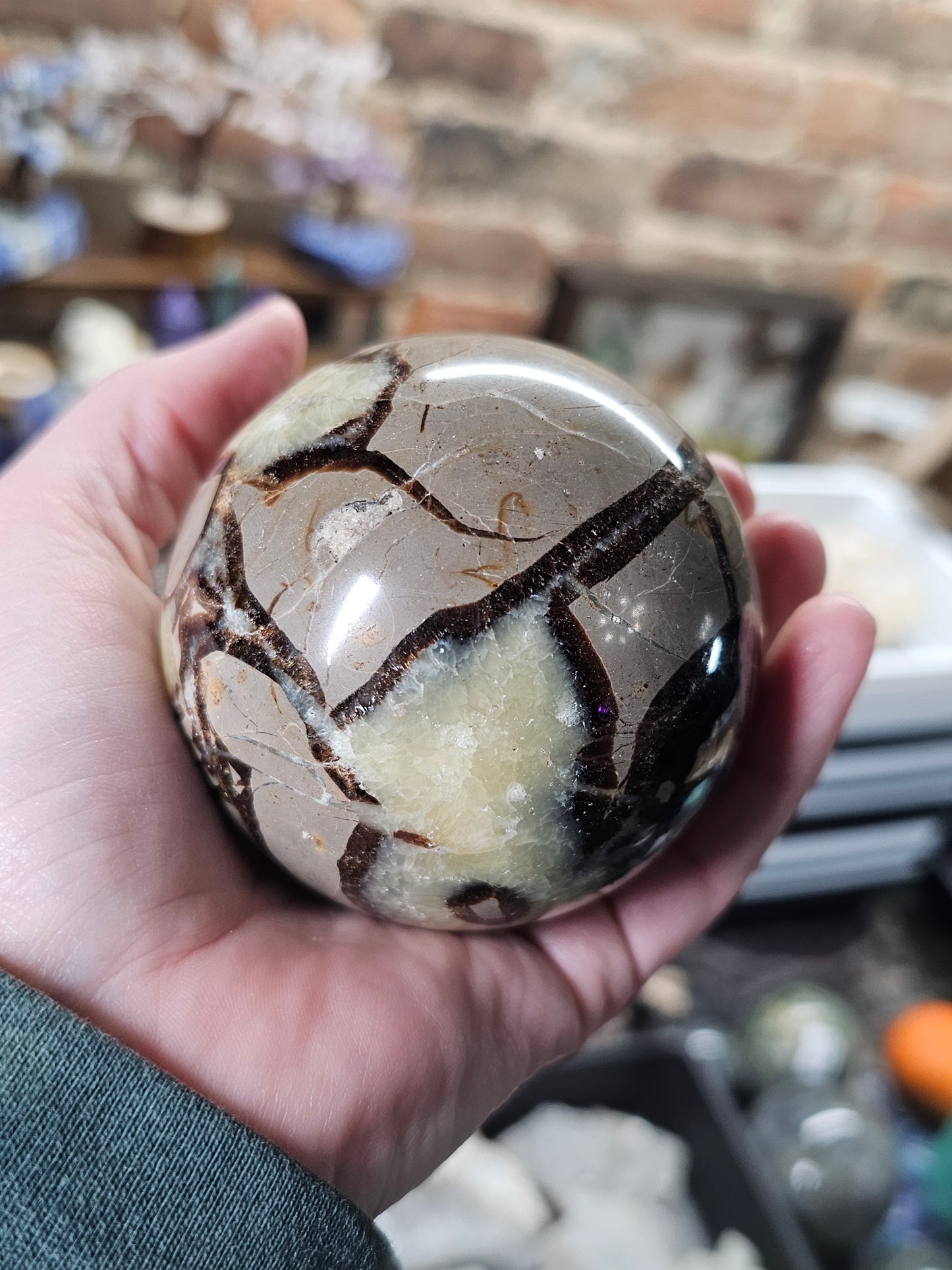 Septarian Nodule Sphere