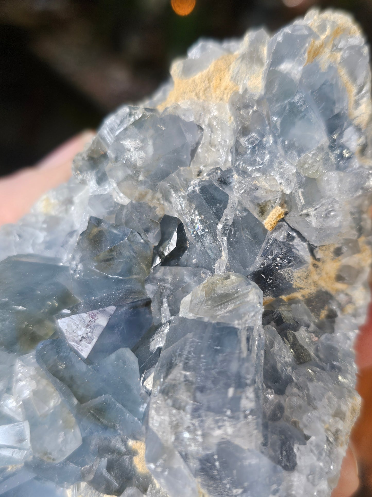 Celestite Cluster