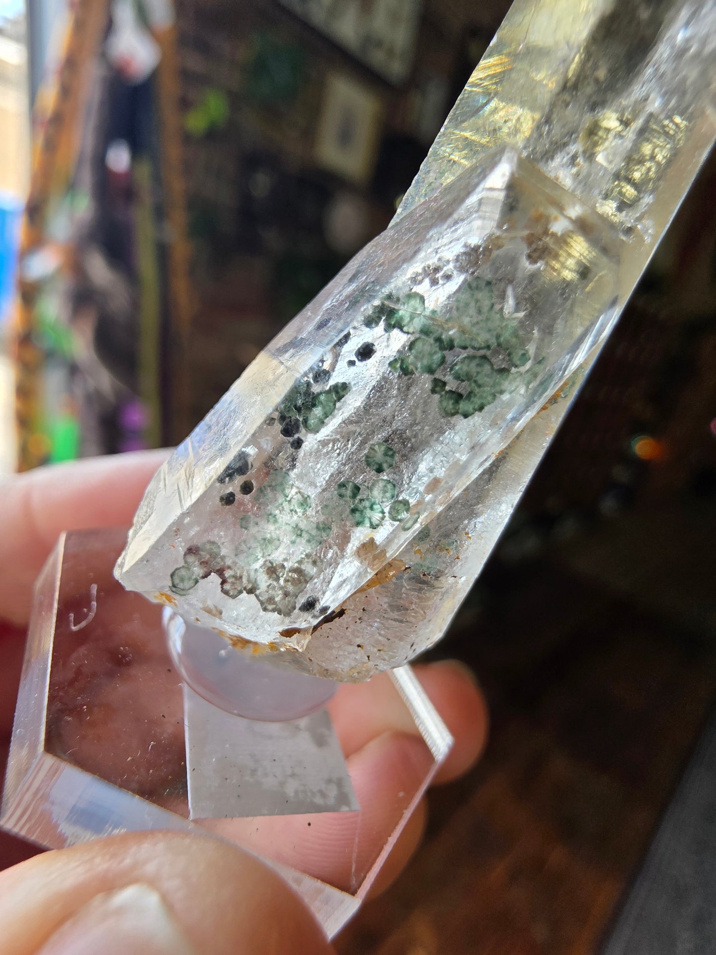 Uncommon Clinochlorite Trapiche Inclusions in Quartz
