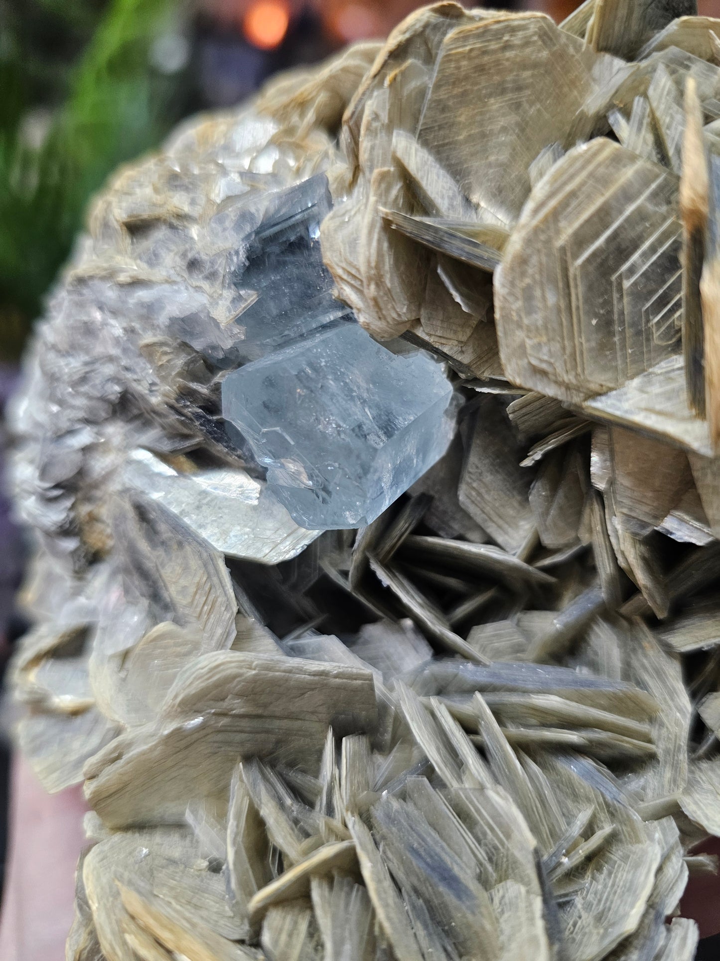 Aquamarine on Muscovite