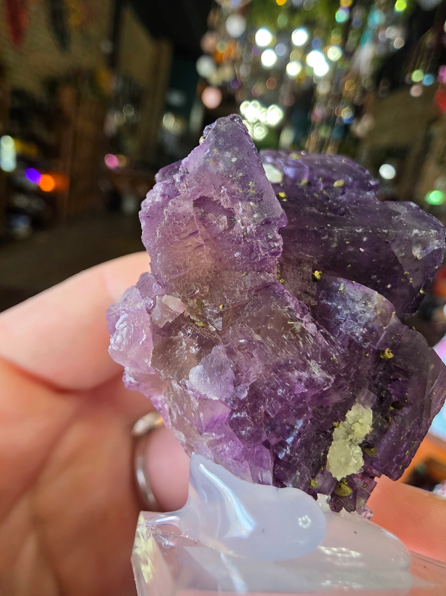 Pyrite on Fluorite