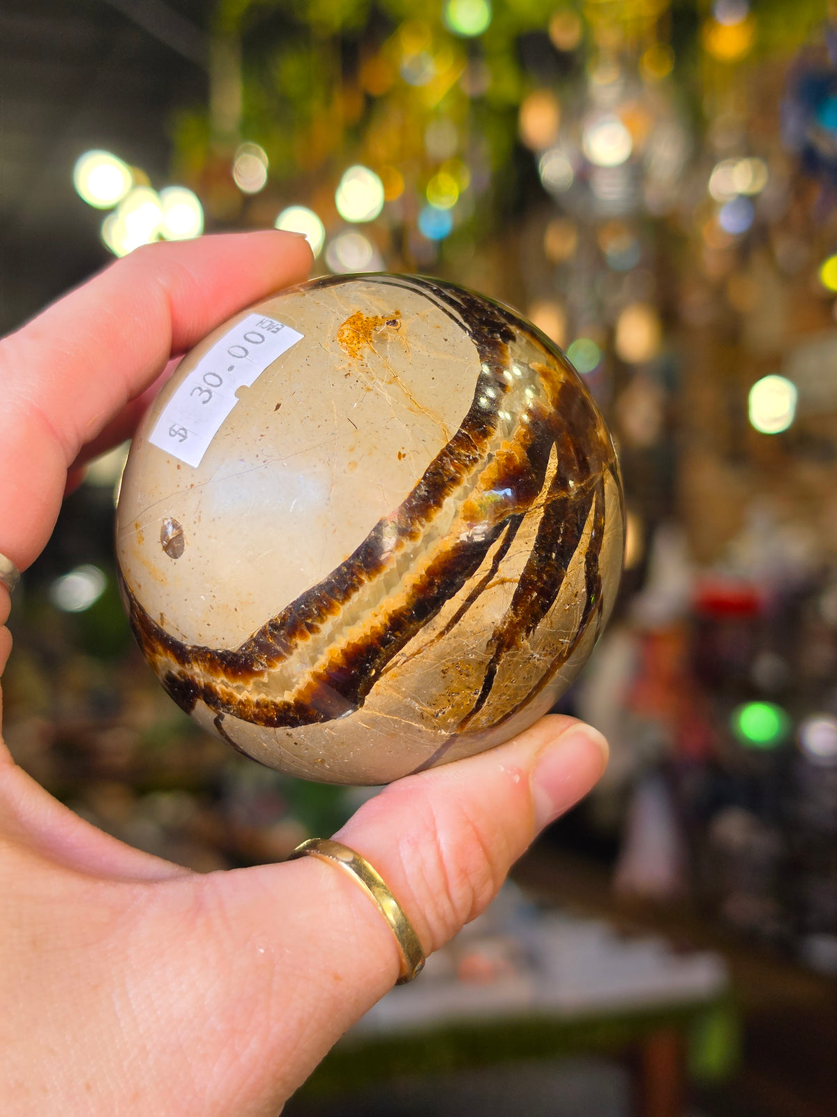 Septarian Nodule Sphere