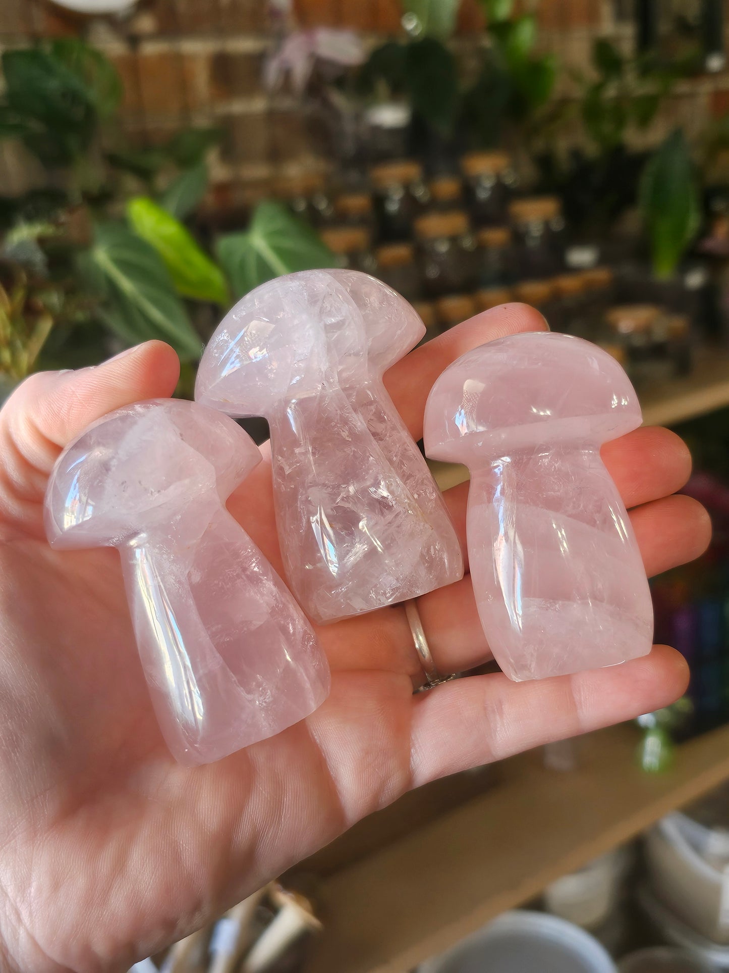 Star Rose Quartz Mushrooms