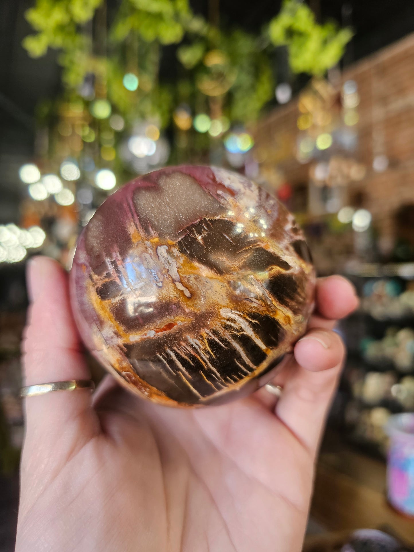 Petrified Wood  Sphere