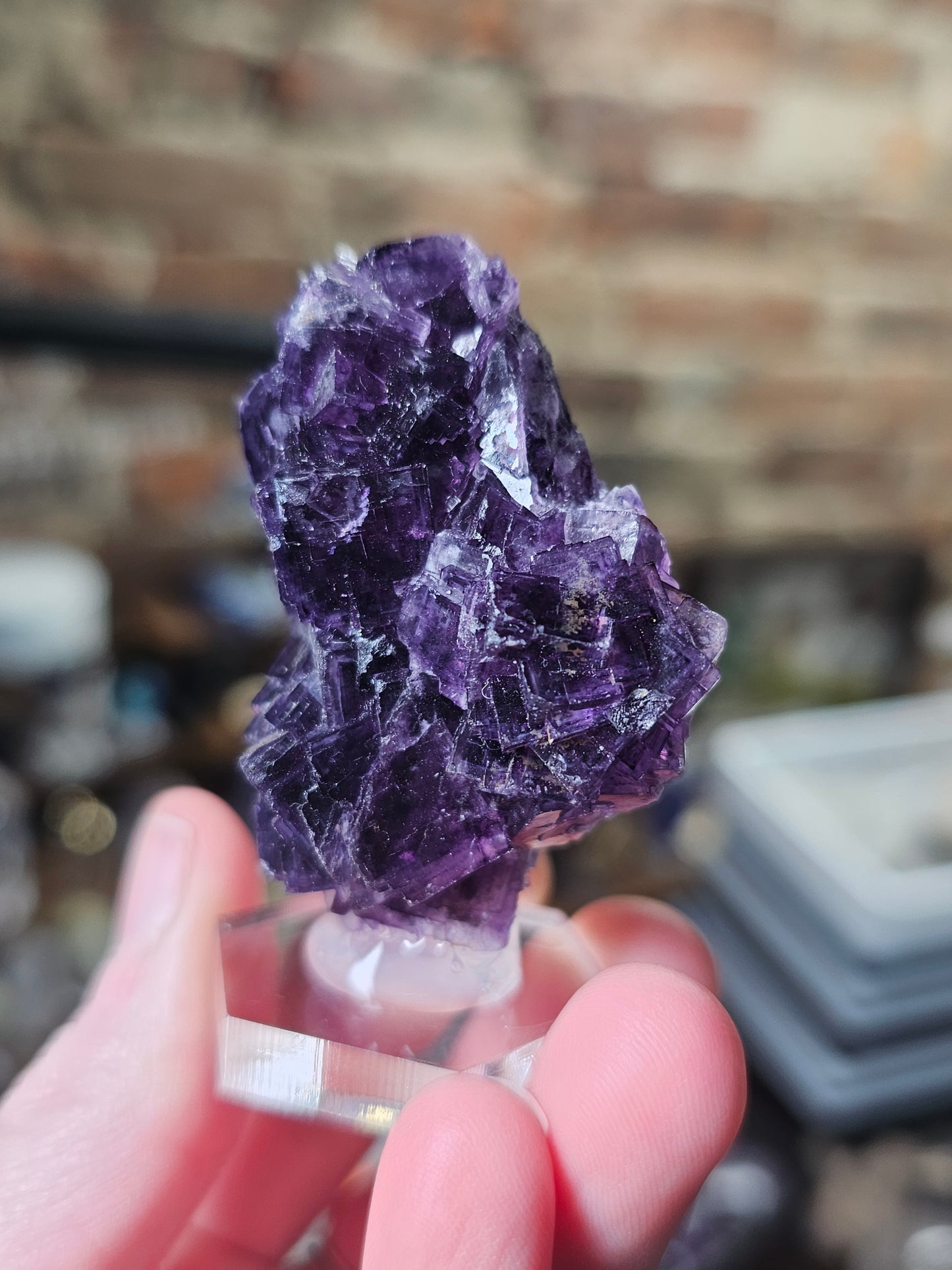 Henan Fluorite